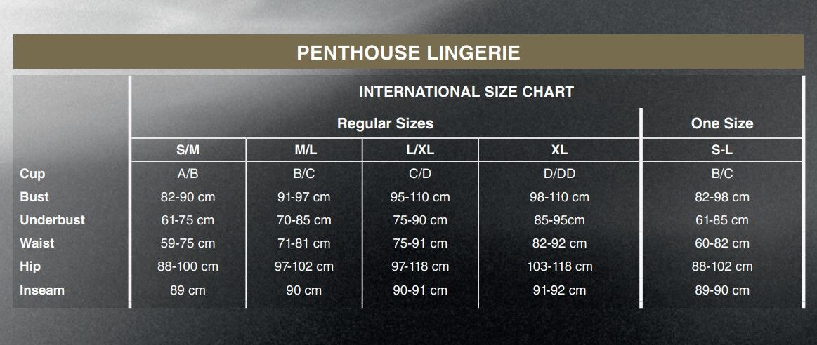 Комплект боді та спідниця Penthouse — Best Foreplay Black M/L